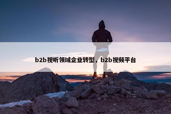 b2b视听领域企业转型，b2b视频平台