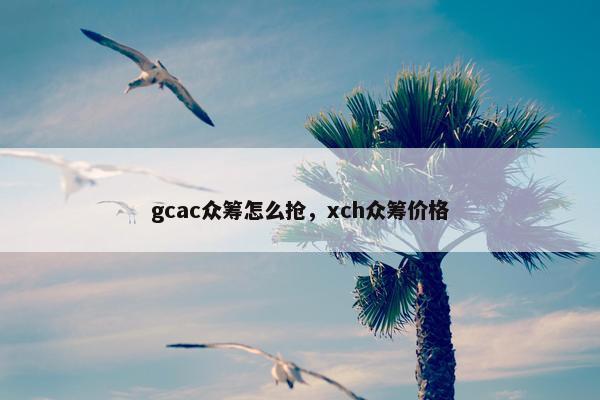 gcac众筹怎么抢，xch众筹价格