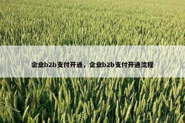 企业b2b支付开通，企业b2b支付开通流程