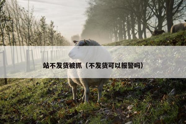 站不发货被抓（不发货可以报警吗）