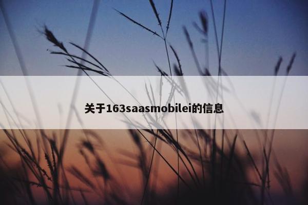关于163saasmobilei的信息