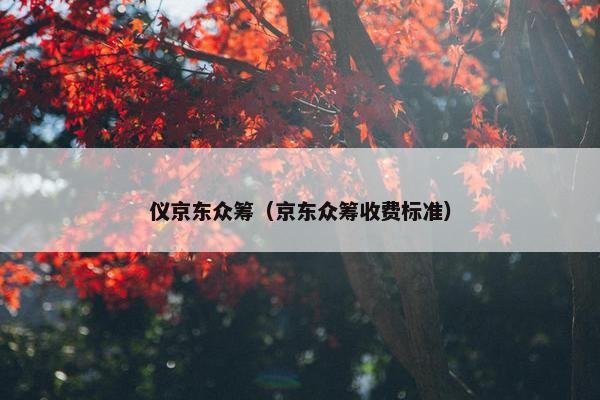 仪京东众筹（京东众筹收费标准）