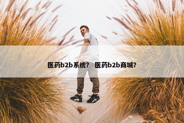 医药b2b系统？ 医药b2b商城？