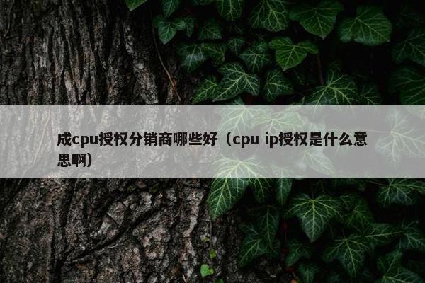 成cpu授权分销商哪些好（cpu ip授权是什么意思啊）