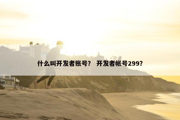 什么叫开发者账号？ 开发者帐号299？