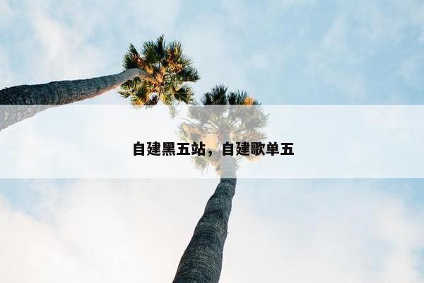 自建黑五站，自建歌单五