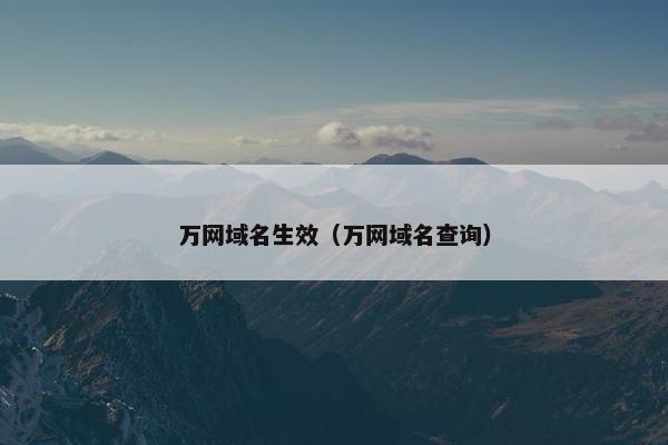 万网域名生效（万网域名查询）
