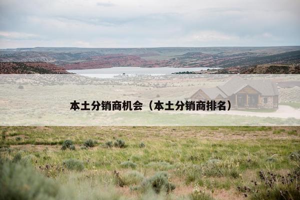 本土分销商机会（本土分销商排名）
