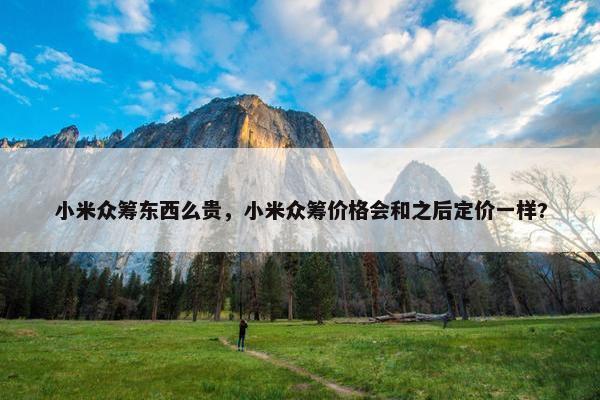 小米众筹东西么贵，小米众筹价格会和之后定价一样?