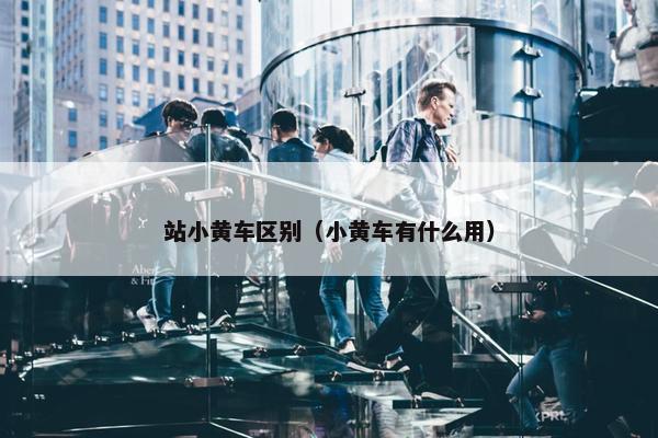 站小黄车区别（小黄车有什么用）