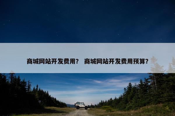 商城网站开发费用？ 商城网站开发费用预算？