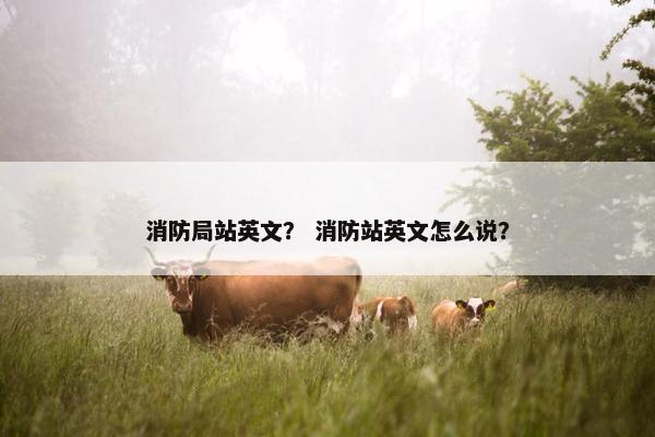 消防局站英文？ 消防站英文怎么说？