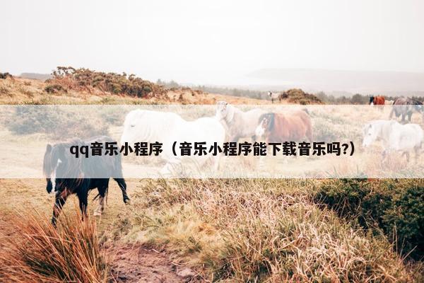 qq音乐小程序（音乐小程序能下载音乐吗?）