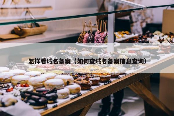 怎样看域名备案（如何查域名备案信息查询）
