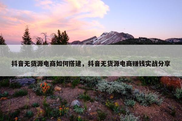 抖音无货源电商如何搭建，抖音无货源电商赚钱实战分享