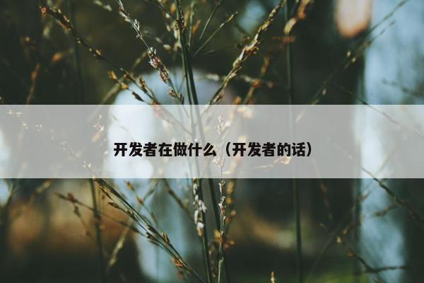 开发者在做什么（开发者的话）
