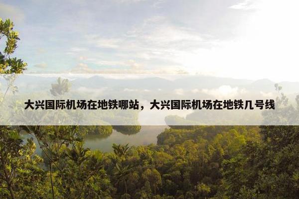 大兴国际机场在地铁哪站，大兴国际机场在地铁几号线
