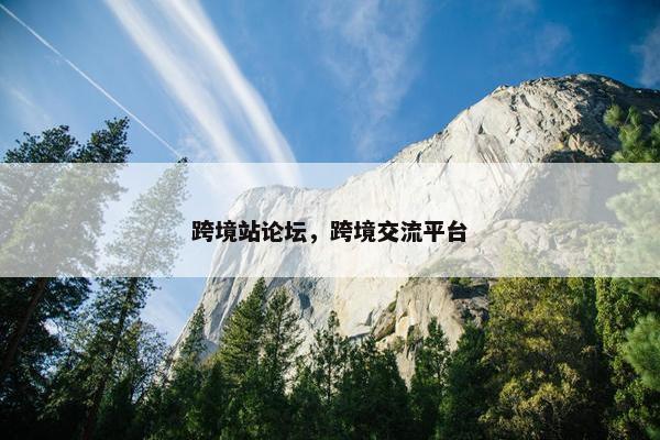 跨境站论坛，跨境交流平台
