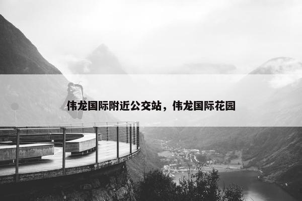 伟龙国际附近公交站，伟龙国际花园