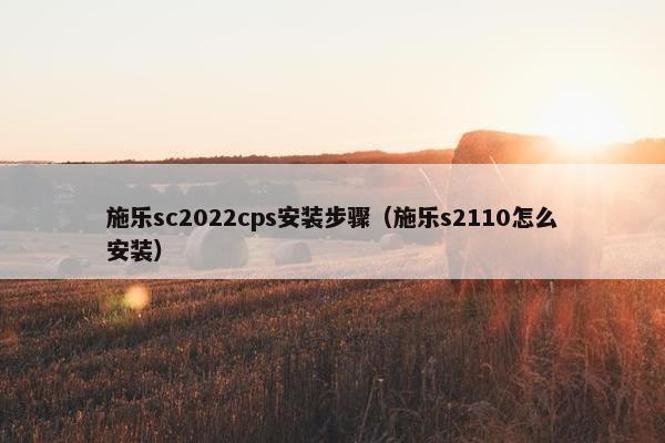 施乐sc2022cps安装步骤（施乐s2110怎么安装）