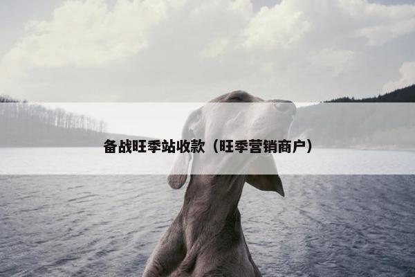 备战旺季站收款（旺季营销商户）