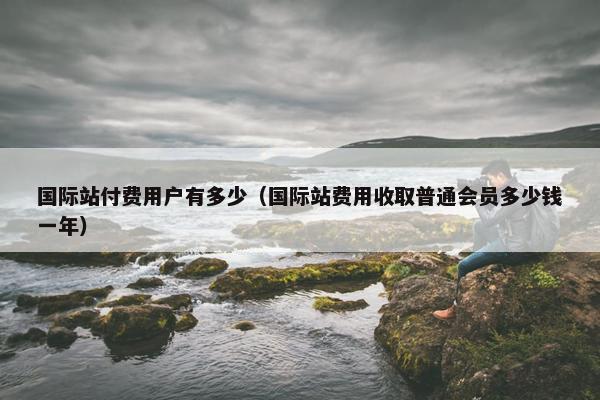国际站付费用户有多少（国际站费用收取普通会员多少钱一年）