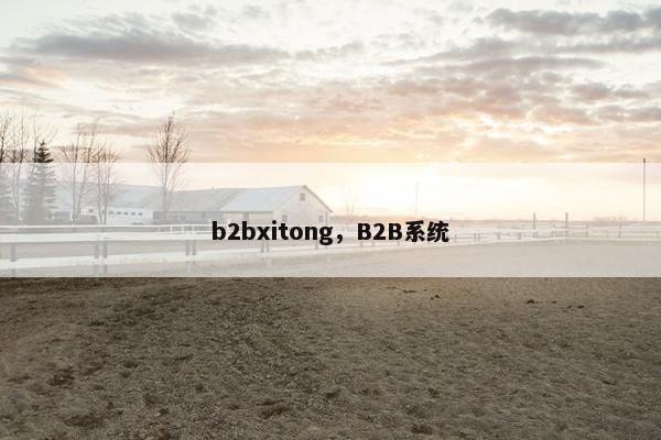 b2bxitong，B2B系统