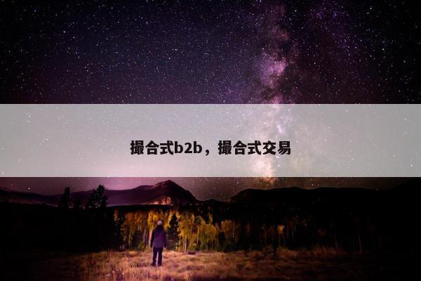 撮合式b2b，撮合式交易