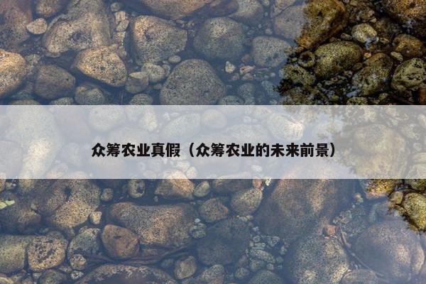 众筹农业真假（众筹农业的未来前景）