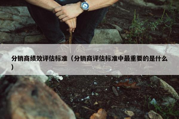 分销商绩效评估标准（分销商评估标准中最重要的是什么）