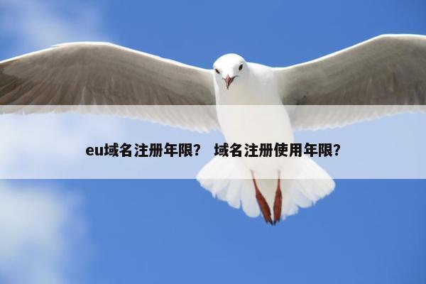 eu域名注册年限？ 域名注册使用年限？