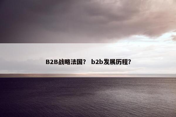 B2B战略法国？ b2b发展历程？