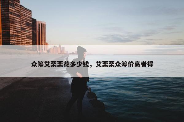 众筹艾栗栗花多少钱，艾栗栗众筹价高者得