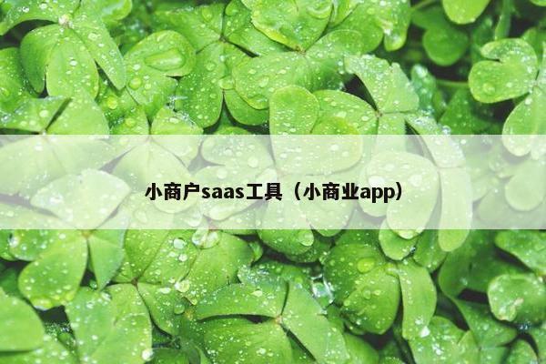 小商户saas工具（小商业app）