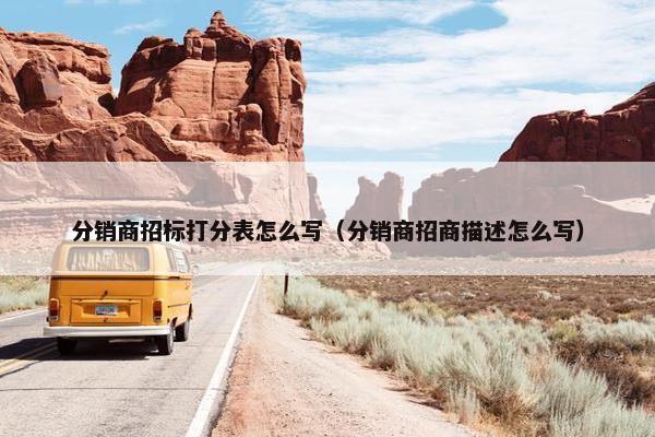 分销商招标打分表怎么写（分销商招商描述怎么写）