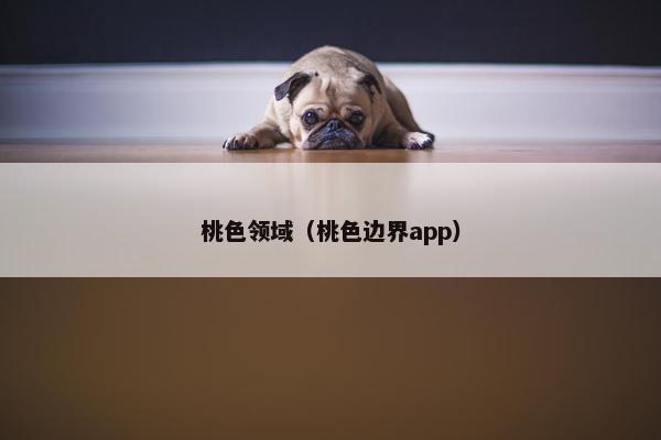 桃色领域（桃色边界app）