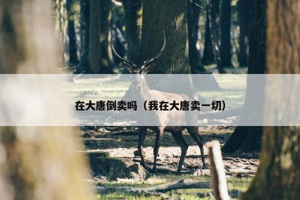 在大唐倒卖吗（我在大唐卖一切）