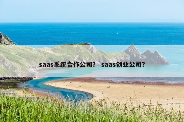 saas系统合作公司？ saas创业公司？