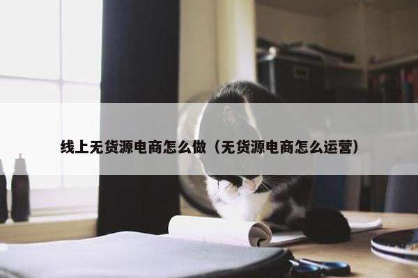 线上无货源电商怎么做（无货源电商怎么运营）