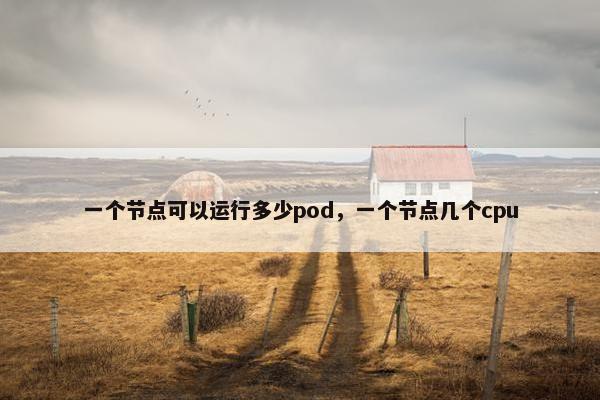 一个节点可以运行多少pod，一个节点几个cpu