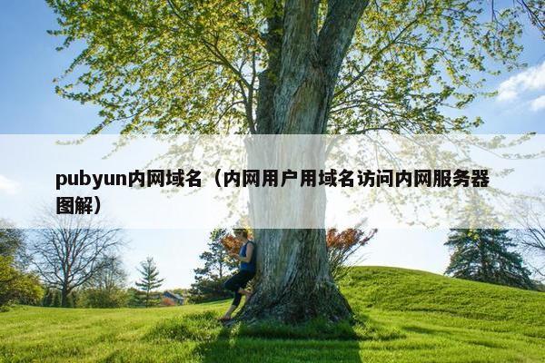 pubyun内网域名（内网用户用域名访问内网服务器图解）