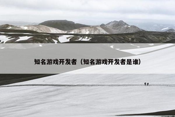 知名游戏开发者（知名游戏开发者是谁）