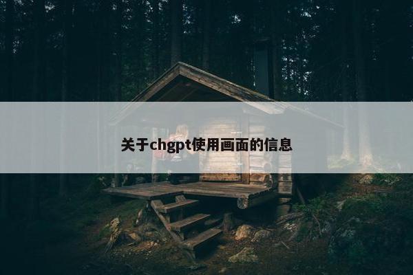 关于chgpt使用画面的信息