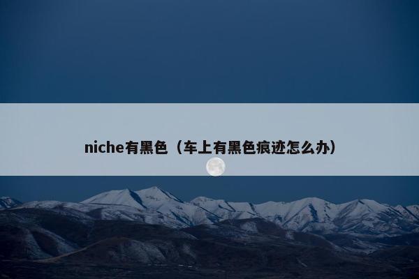 niche有黑色（车上有黑色痕迹怎么办）