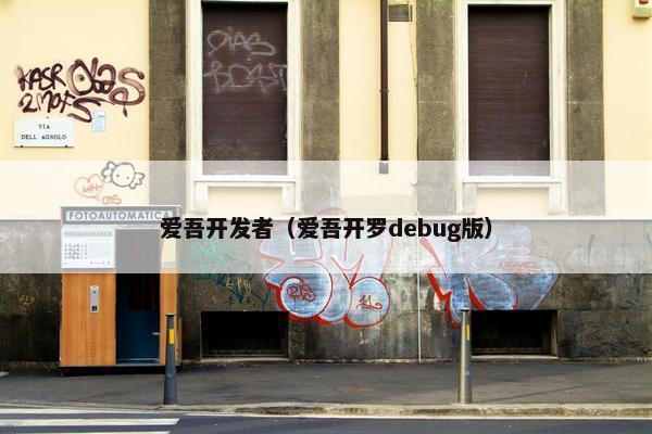 爱吾开发者（爱吾开罗debug版）