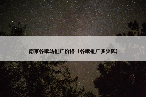 南京谷歌站推广价格（谷歌推广多少钱）