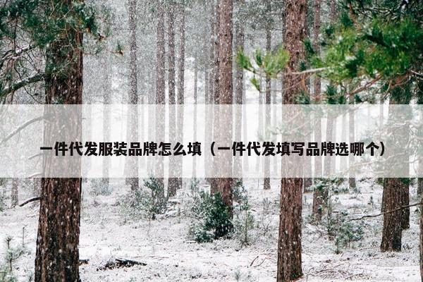 一件代发服装品牌怎么填（一件代发填写品牌选哪个）