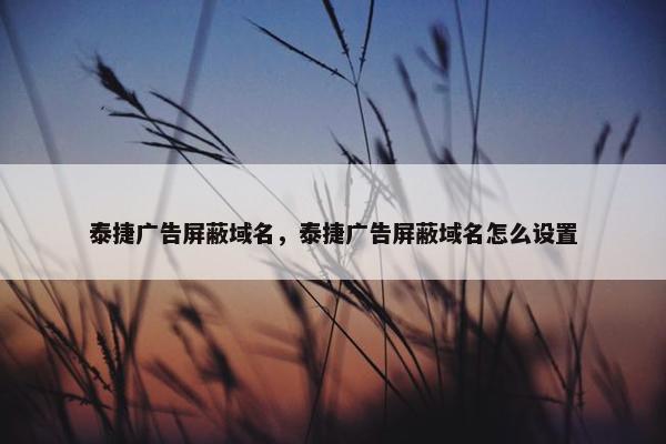 泰捷广告屏蔽域名，泰捷广告屏蔽域名怎么设置