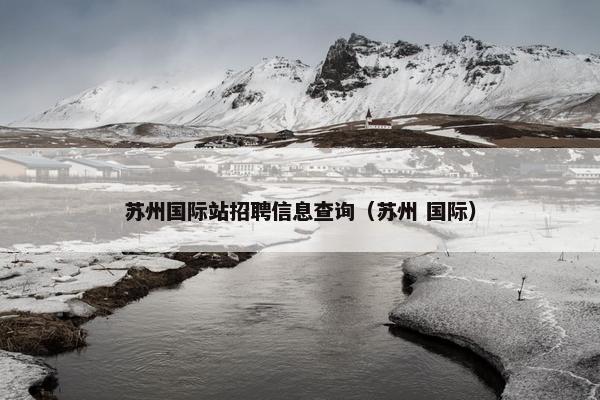 苏州国际站招聘信息查询（苏州 国际）