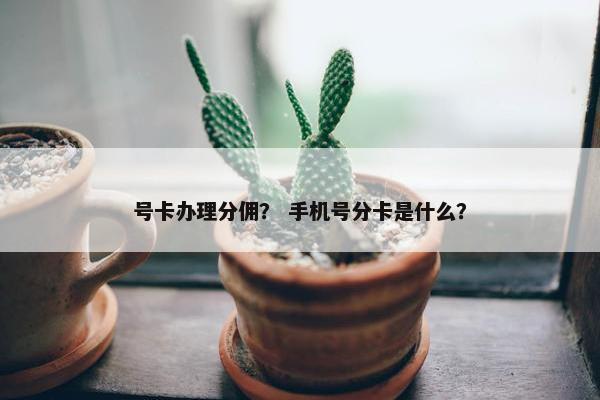 号卡办理分佣？ 手机号分卡是什么？